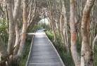 Lynwood NSWnative-gardens-3.jpg; ?>